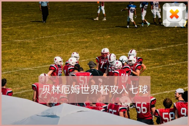贝林厄姆世界杯攻入七球