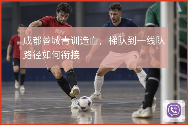 成都蓉城青训造血，梯队到一线队路径如何衔接
