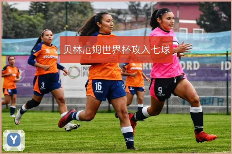 贝林厄姆世界杯攻入七球