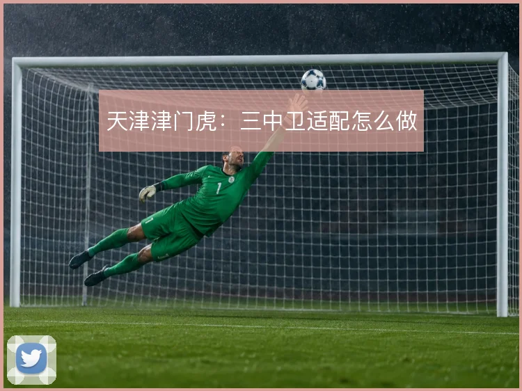 天津津门虎：三中卫适配怎么做